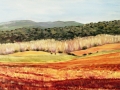 Summer Colours, Spain, oil on canvas, 18x24 inch (Medium)